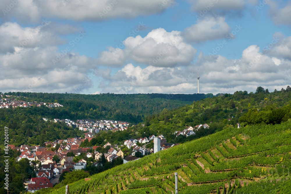 A summer view of Stuttgart, Germany, with the television tower (Fernsehturm) on the horizon. The foreground features lush vineyards under a clear blue sky. A summer view of Stuttgart, Germany, with the television tower (Fernsehturm) on the horizon. The foreground features lush vineyards under a clear blue sky.