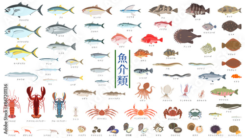 魚介類。マグロ、タイ、ウナギ、フグ、エビ、ロブスター、タコやイカ、貝類、ウニ、川魚など72種類の魚介類のフラットなベクターイラストセット。
Aquatic products. Flat vector illustration set of 72 types of seafood, including tuna, sea bream, eel, shrimp, lobster, and more.