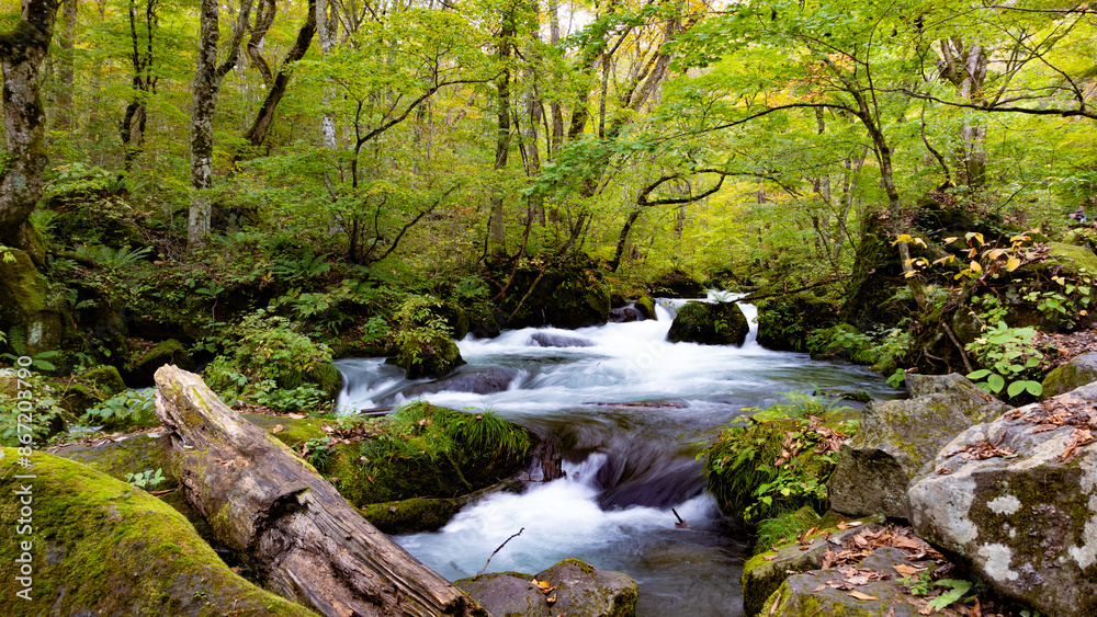 Obraz premium 奥入瀬渓流 