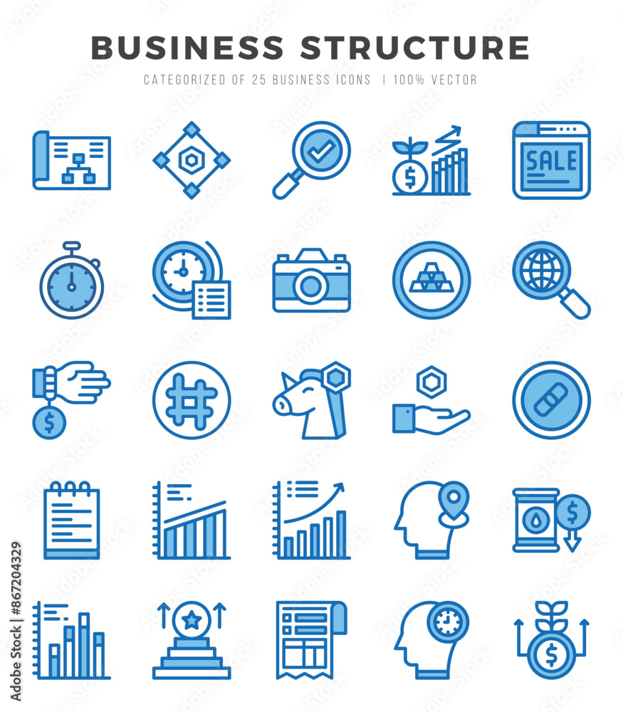 Business Structure icons Pack. Two Color icons set. Business Structure collection set. Business Structure icons Pack. Two Color icons set. Business Structure collection set.