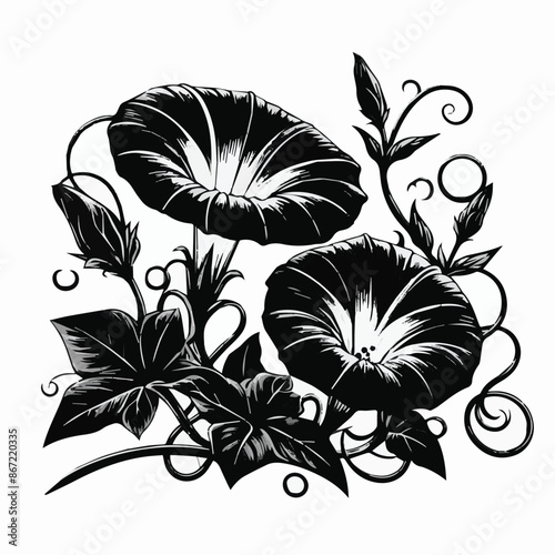 Morning glories sunrise flower silhouette vector illustration. Generative AI