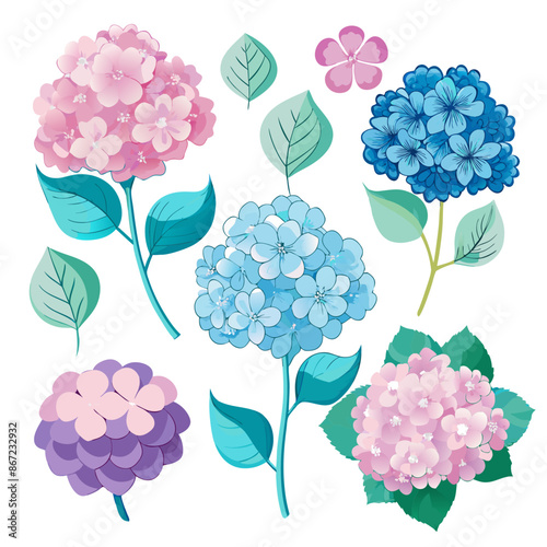 Hydrangea doodle vector set. Cartoon Hydrangea flower design collection with flat color in different poses. Set of flowers isolated on white background. Stock Vector