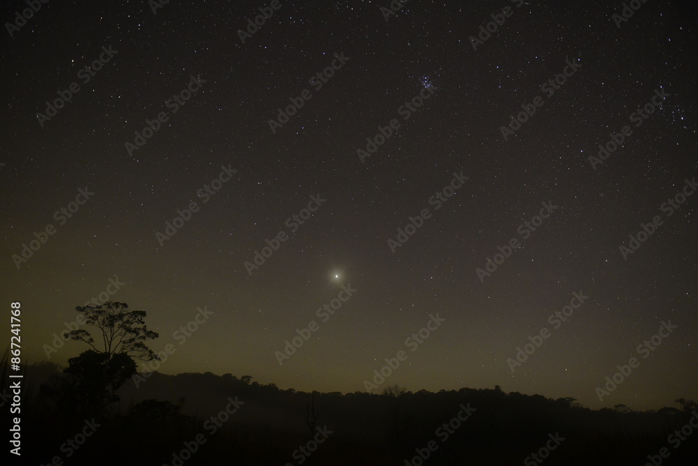 Naklejka premium Many star with jupiter and Pleiades. in the forest. Dark starry night sky.
