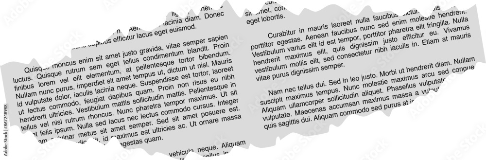 Fototapeta premium Newspaper torn paper vector for background or border