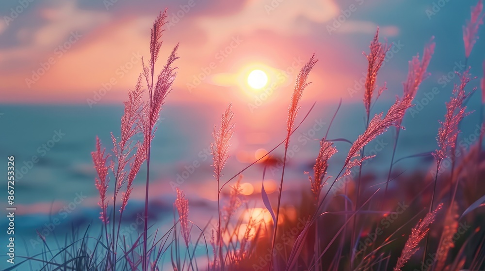Obraz premium Close up view of swaying grass near the sea during sunset in a picturesque summer seascape