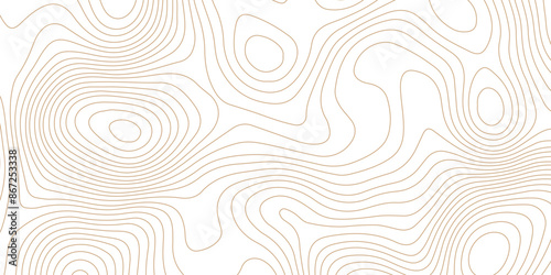 Abstract topographic contour map and geographic mountain relief background design .topography contour map white wave paper and curve brown color lines vector background .