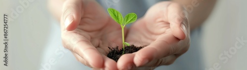 Hands cupping a small plant sprout, environmental conservation, new growth