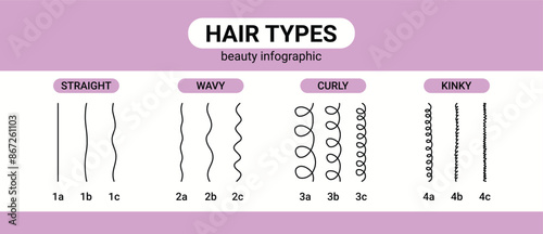 hair types beauty Classification. straight, wavy, curly, kinky. Scheme different types of hair. Curly girl method.