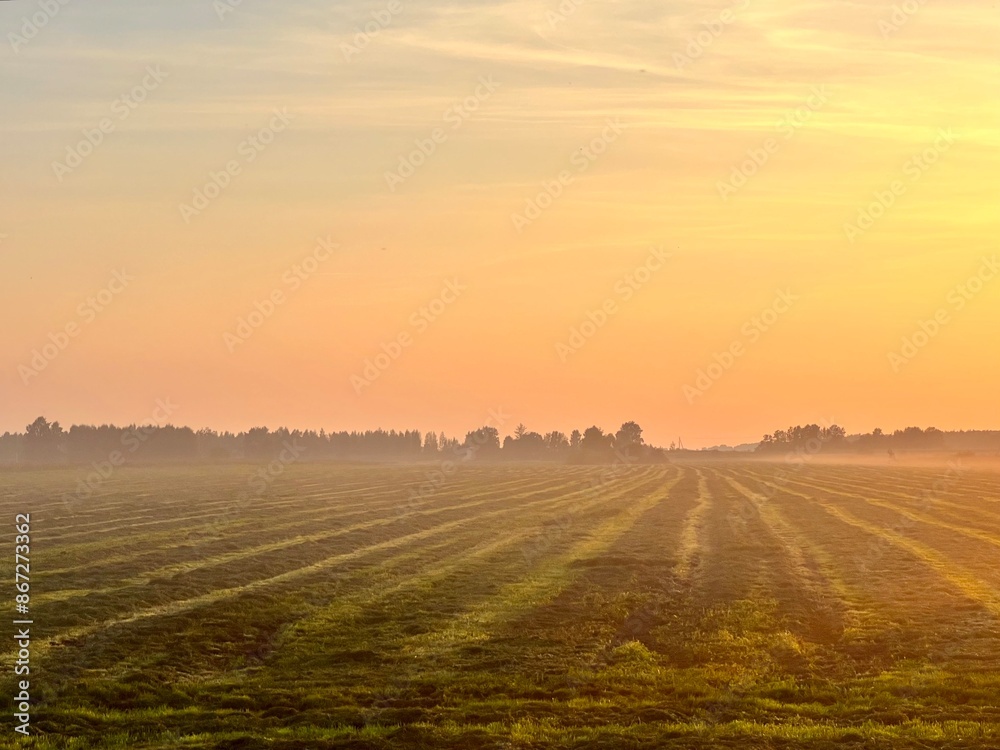 fog over a field at dawn fog over a field at dawn