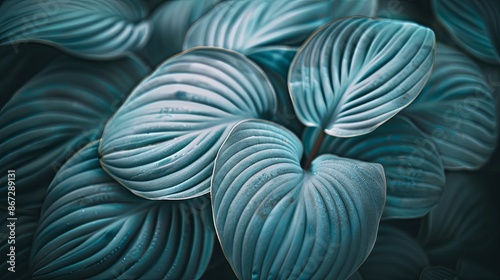 Abstract natural floral Green tropical plant close-up background