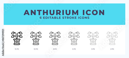 Anthurium icon symbol. Isolated. Vector illustration with editable stroke.