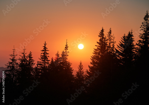 Orange sunrise over coniferous forest. Warm light of mountain dawn. Stunning landscape of sunrise in mountains.
