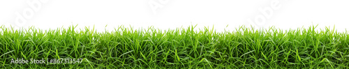 Seamless green grass for border on Transparent Background.