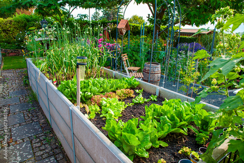 Residential garden, private vegetable garden. Landscape design in home garden, beautiful landscaping in backyard with raised bed with vegetables plants in springtime. home garden.