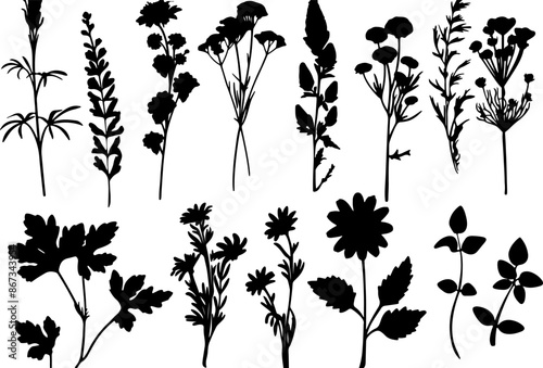 Hand drawn flower silhouettes Illustration