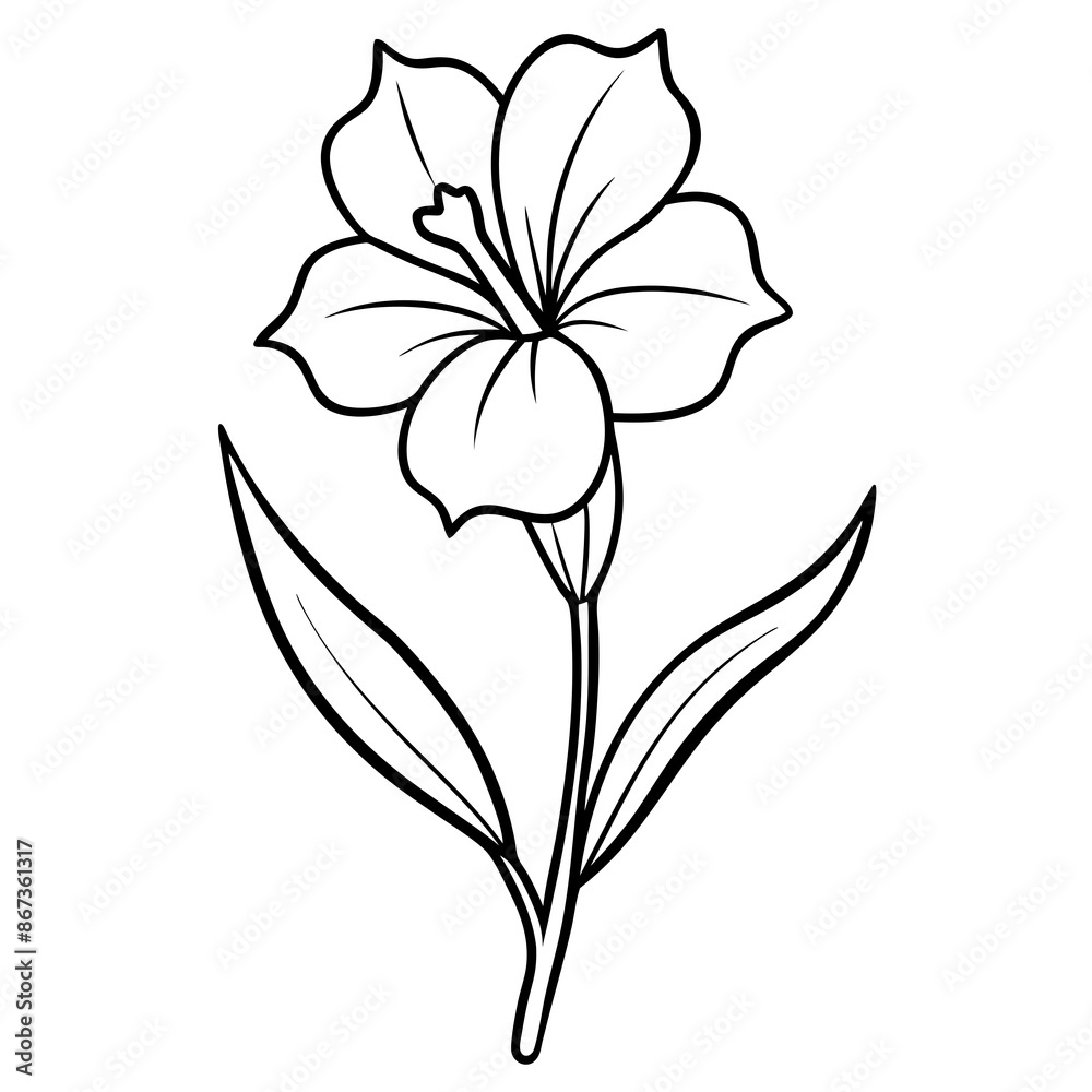 Line art of Evening Primrose flower Line art of Evening Primrose flower