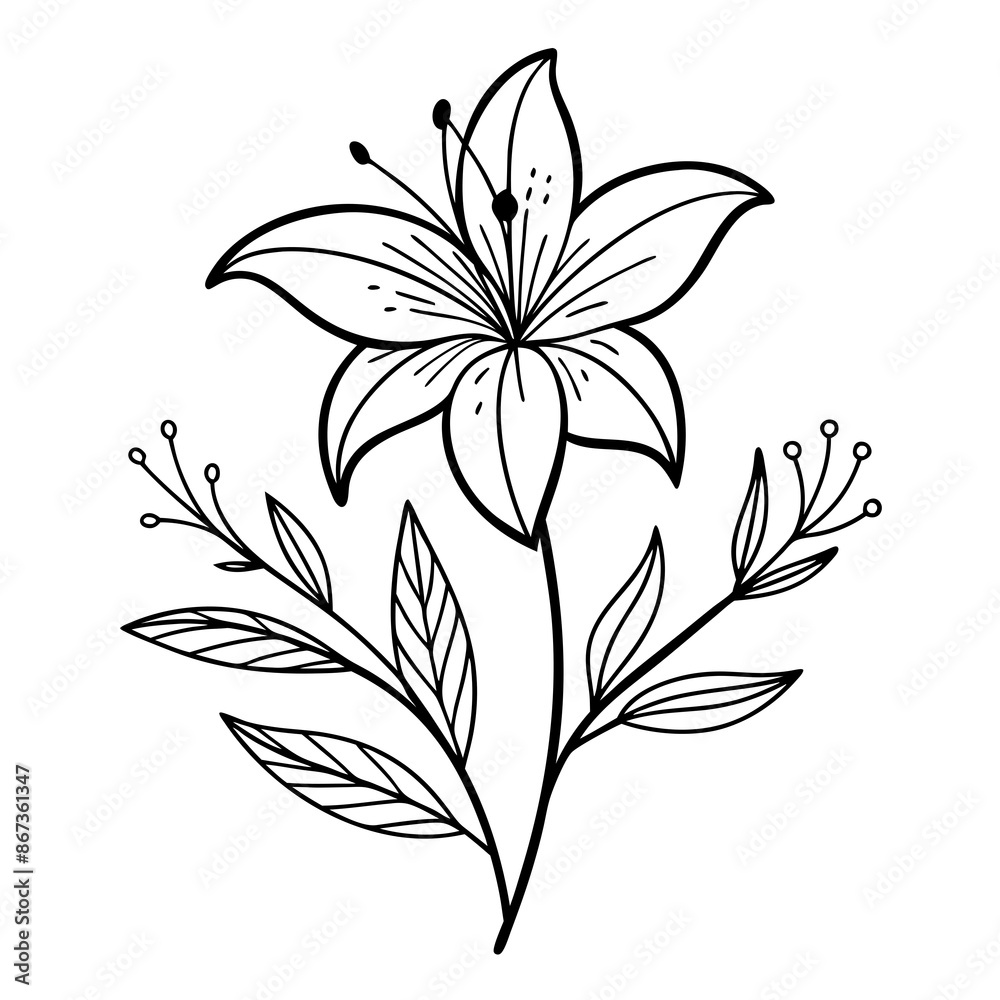 Line art of simple lily flower Line art of simple lily flower