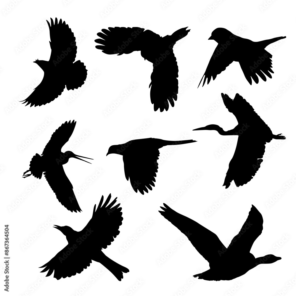 Obraz premium Black Flying birds Silhouettes Vector Illustration. birds in flight icons