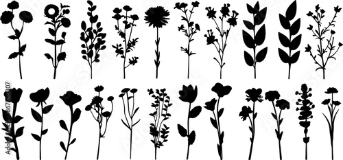 Hand drawn flower silhouettes Illustration