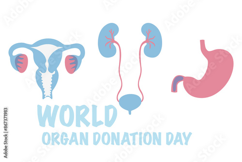World Organ Donation Day social media post template. Organ donation day illustration. Saving Lives and Health Care. Flat vector organs and silhouette of a doctor surgeon in a medical cap and mask