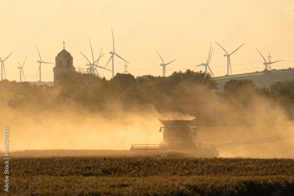 Fototapeta premium Combine harvester working on the field during golden hour.
