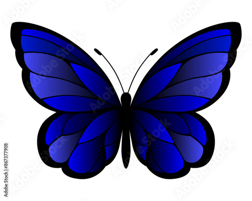 The blue butterfly