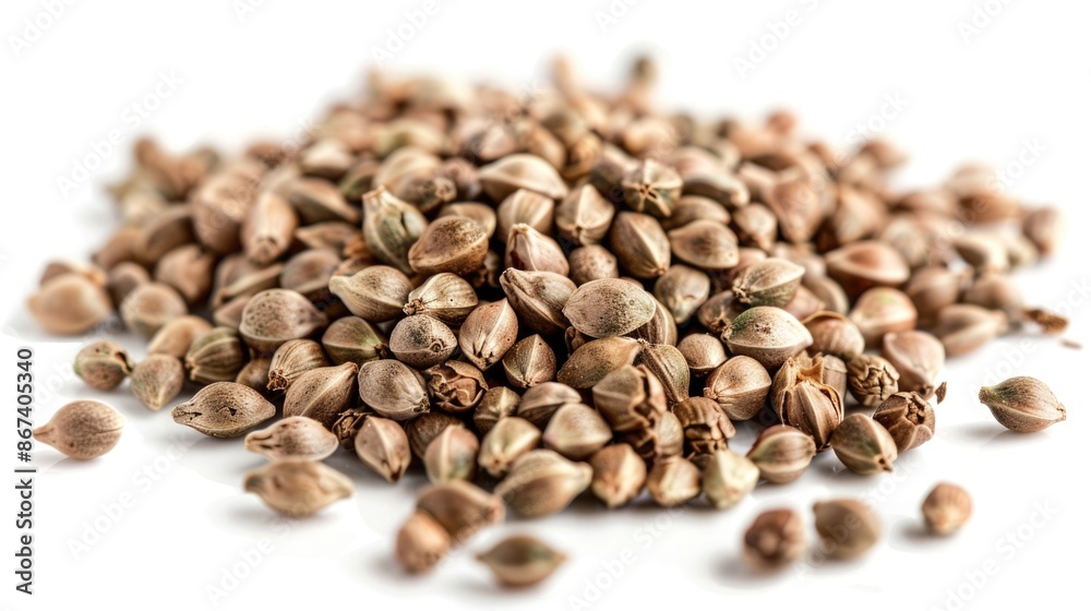 Pile of seeds scattered on a white surface, useful for agriculture, gardening or educational purposes Pile of seeds scattered on a white surface, useful for agriculture, gardening or educational purposes