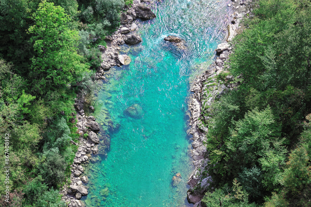River with a blue color and surrounded by trees. serene river flowing through a lush forest, surrounded by tall trees and vibrant greenery.