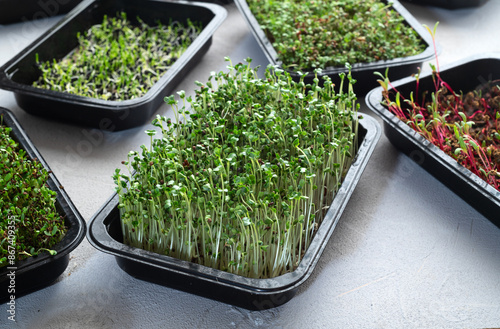 Mix of Microgreens in container