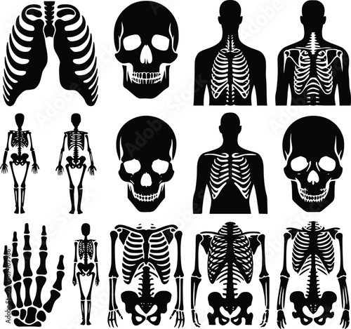 Human bone silhouette artwork design 