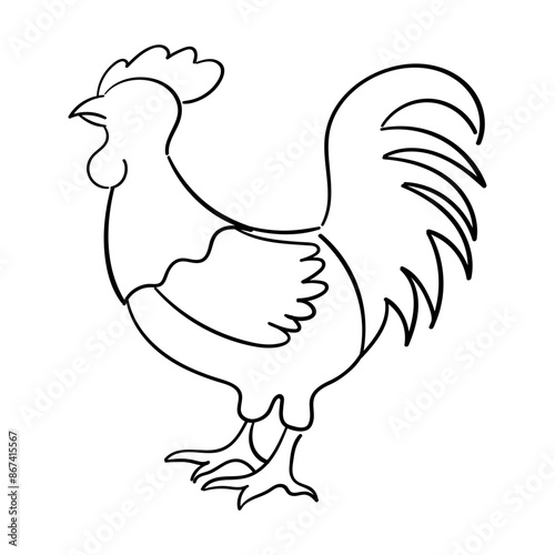 Rooster
