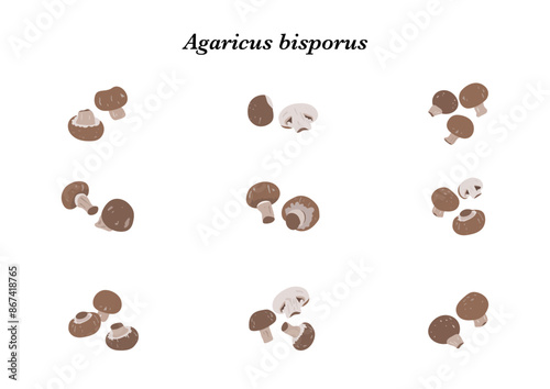 Brown champignon mushroom isolated on white background