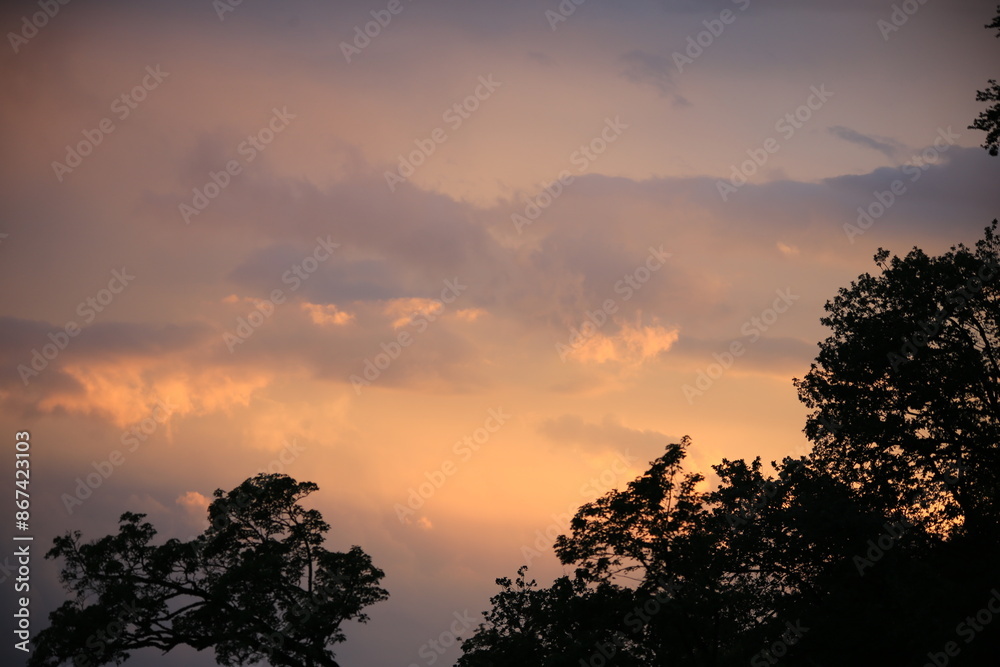Fototapeta premium beautiful cloudy sunset creating pink and orange clouds.