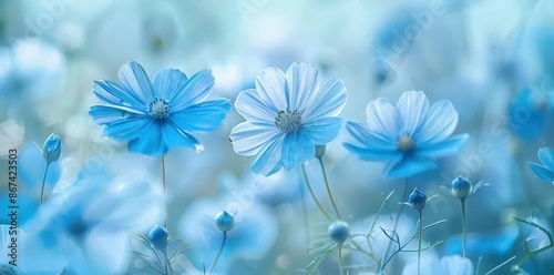  Vibrant Blue Flower Field, Nature's Carpet of Spring