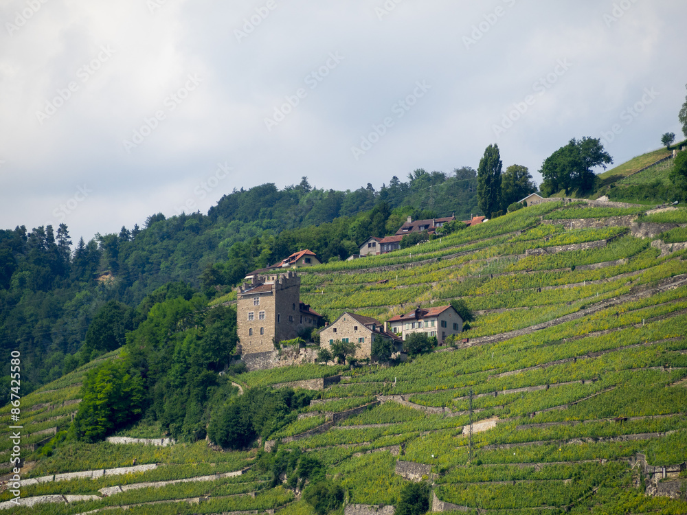 Lavaux vineyards by Geneva lake