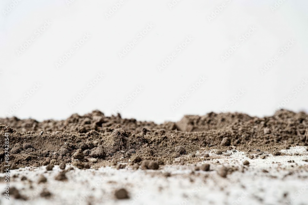 High-Resolution Close-Up of Soil Texture High-Resolution Close-Up of Soil Texture