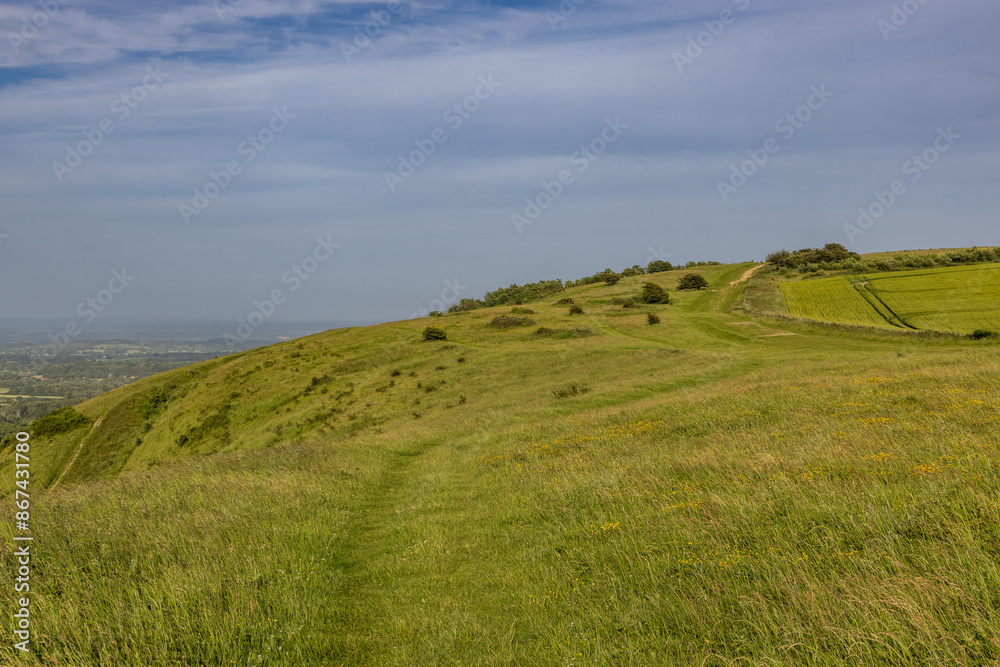 Obraz premium Looking along a grass pathway on Ditchling Beacon
