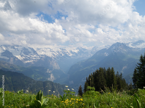 Bernese Alps seen from Schynige Platte photo