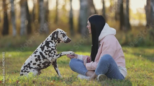 Beautiful attractive girl with a Dalmatian dog pet dog in park. Young woman with dog in gold fall forest