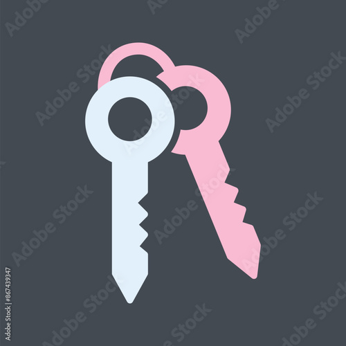 Keys Vector Icon photo