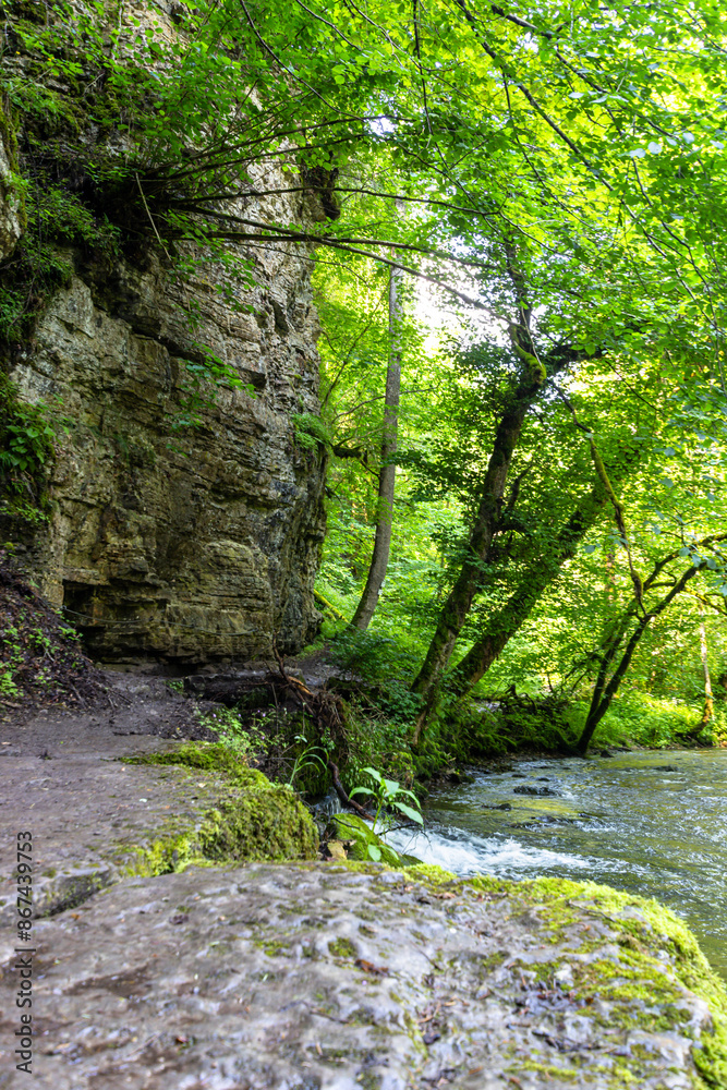 Obraz premium Die Wutach, ein Gebirgsfluß im Schwarzwald 
