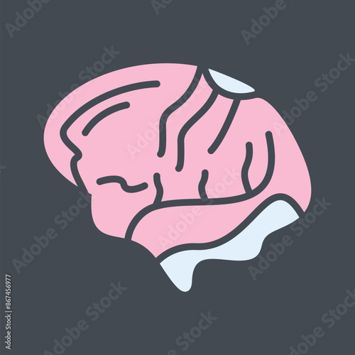 Brain Vector Icon