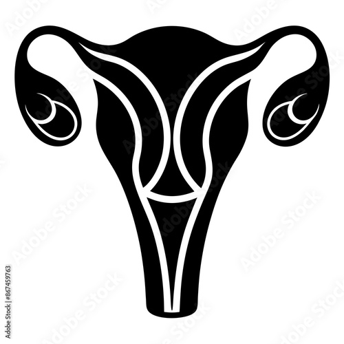 Silhouette of Ovaries in Female. Vector illustration 