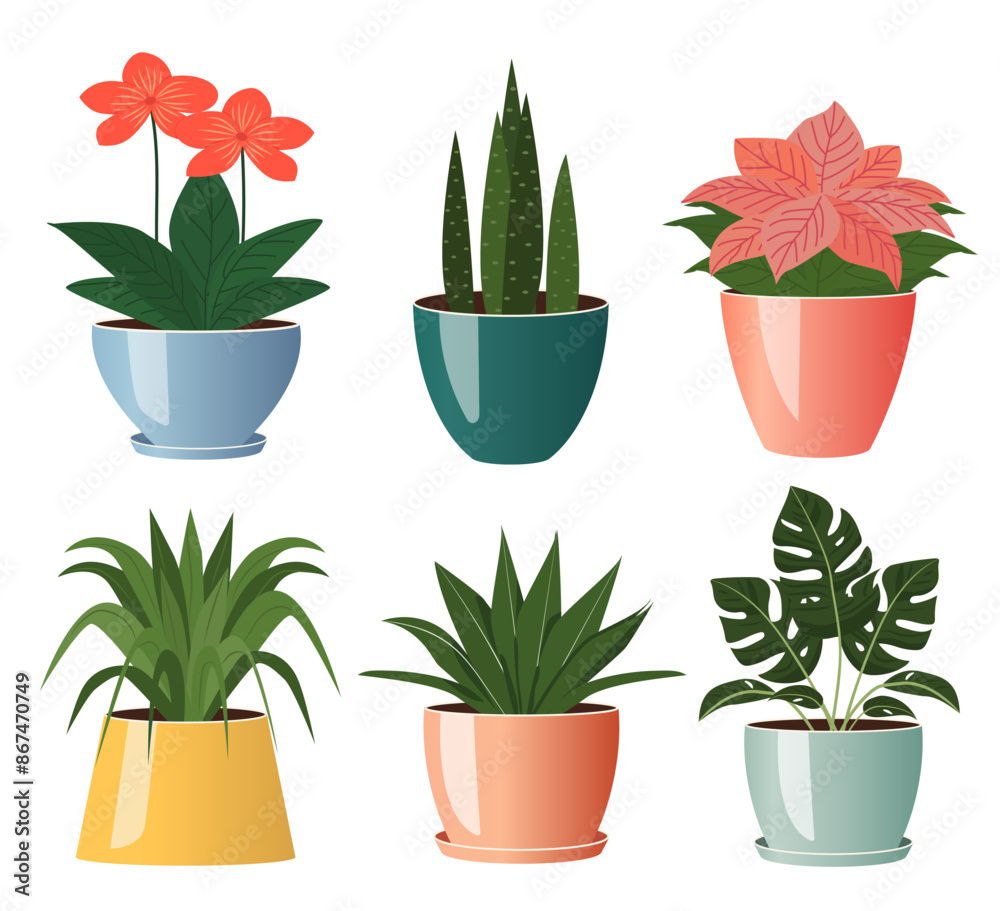 Set of indoor plants in ceramic pots. Flowers in pots isolated on white background. Set of indoor plants in ceramic pots. Flowers in pots isolated on white background.