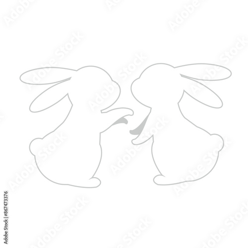 白い2匹のうさぎ