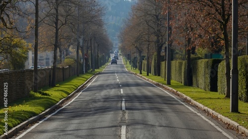 road in the park