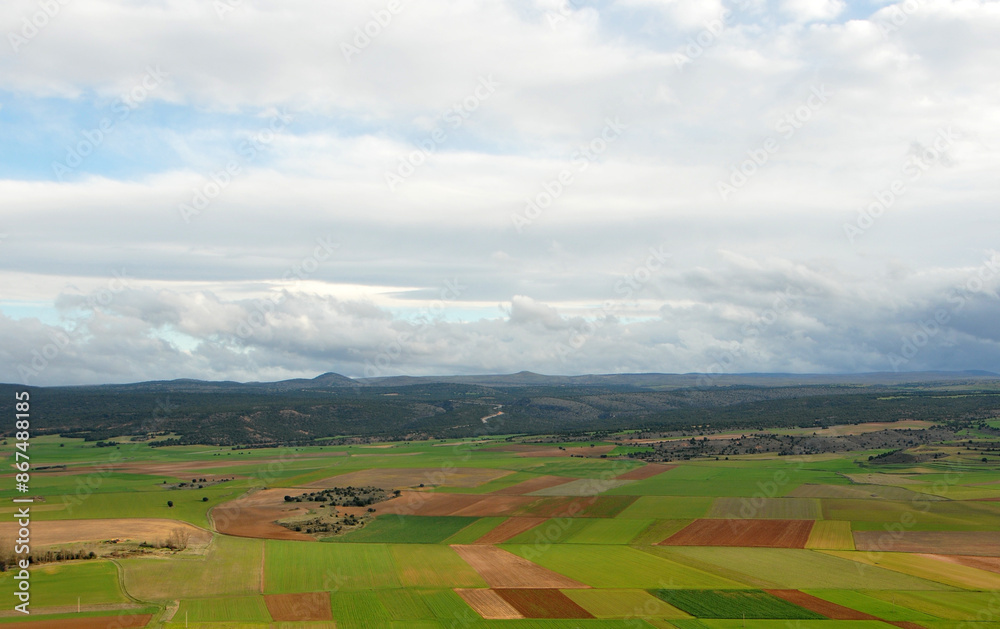 Fototapeta premium campos de cultivo en primavera