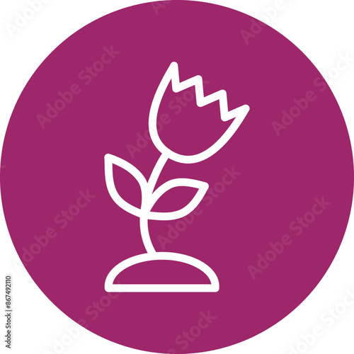 tulip Vector Line White Circles Multicolors