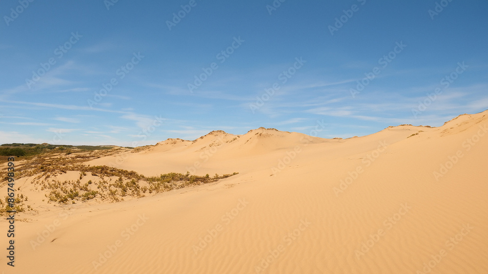 Sand dunes in the desert heat Sand dunes in the desert heat