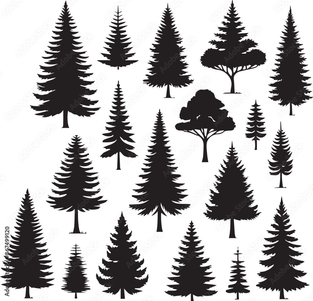 Obraz premium Elegant Tree Border Silhouette Vector Design Set